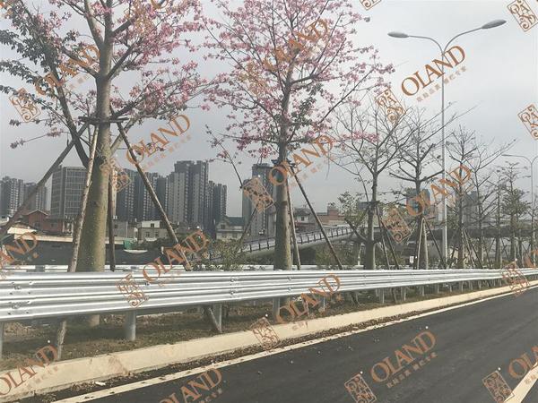 波形护栏
